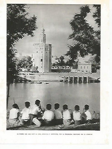 LAMINA 10745: La Torre del Oro