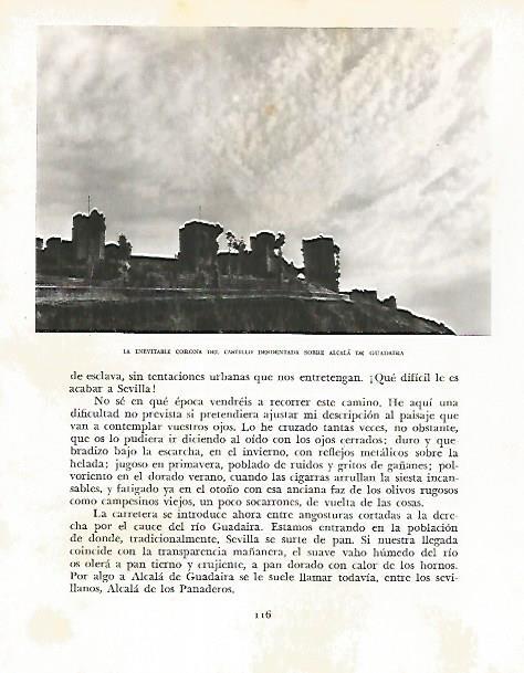 LAMINA 10751: Castillo de Alcala de Guadaira