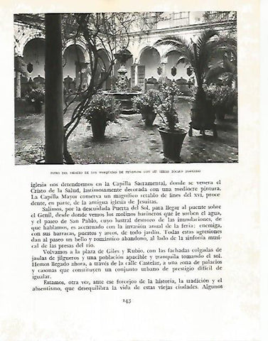 LAMINA 10761: Patio del Palacio de los Marqueses de Peñaflor