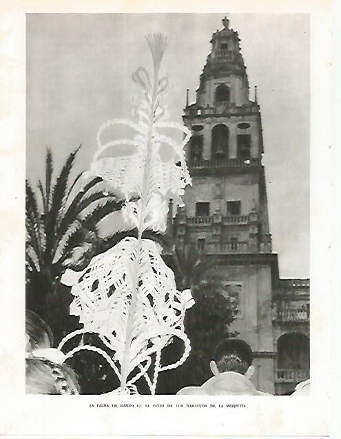 LAMINA 10769: Patio de los Naranjos en la Mezquita de Cordoba