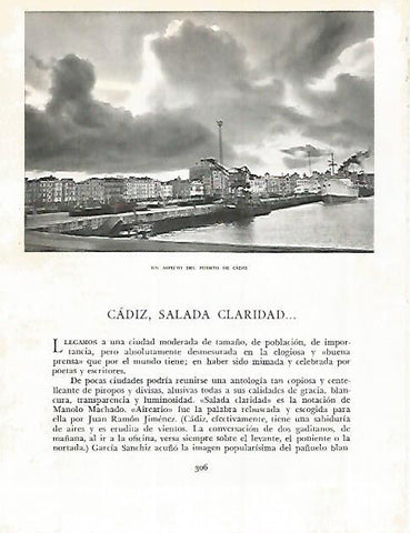 LAMINA 10824: Puerto de Cadiz