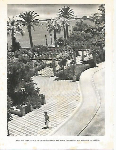 LAMINA 10825: Jardines de Cadiz