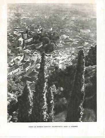 LAMINA 10867: Vista de Granada desde la Alhambra