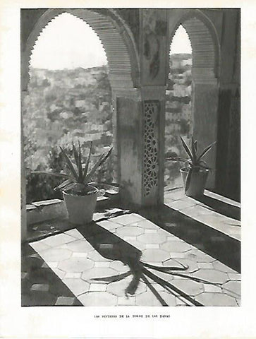 LAMINA 10874: Ventanas de la Torre de las Damas de La Alhambra