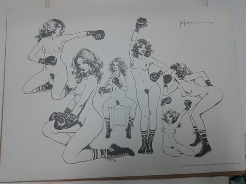 Portafolio con diez laminas de Pepe Gonzalez (dibujante de Vampirella)  