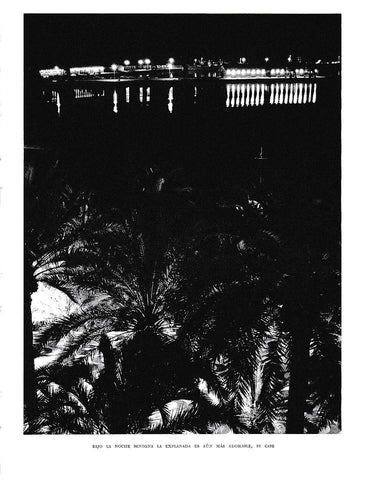 LAMINA 6044: Noche entre palmeras de Alicante