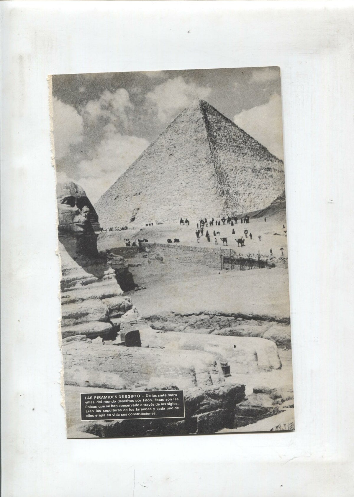 Lamina Maravillas del Mundo: Las piramides de Egipto, Jardines colgantes Babilonia, Estatua de Jupiter