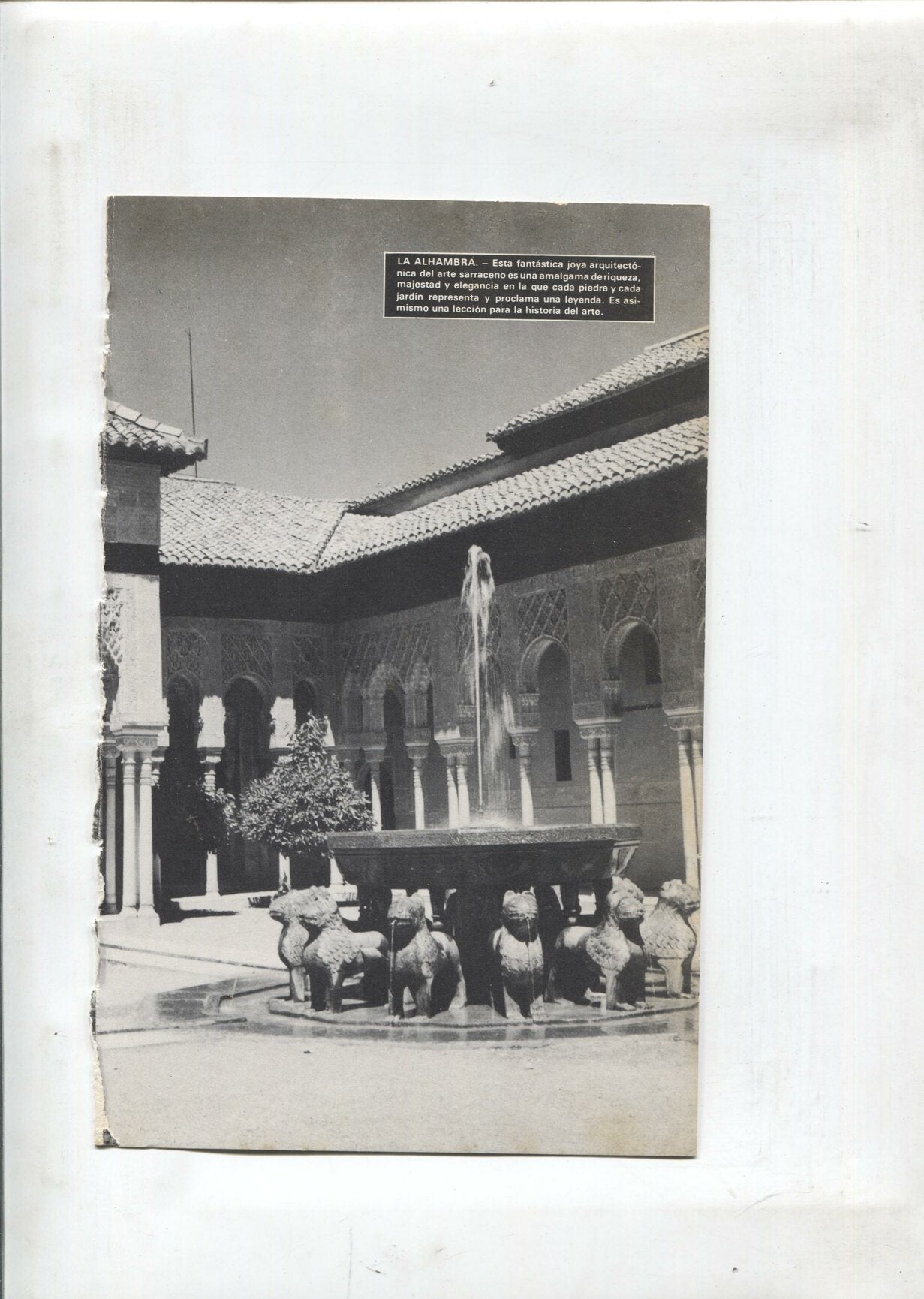 Lamina Maravillas del Mundo: patio de los leones en la alhambra y catedral de compostela