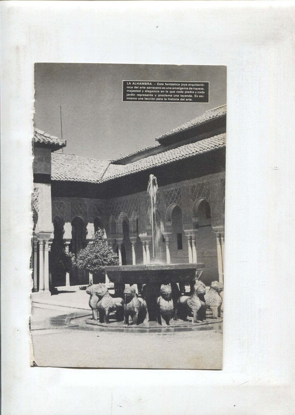 Lamina Maravillas del Mundo: patio de los leones en la alhambra y catedral de compostela