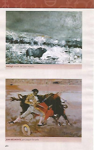 LAMINA COSSIO 51260: Paisaje nevado por C. Palacios y Juan Belmonte por Joaquin Terruella