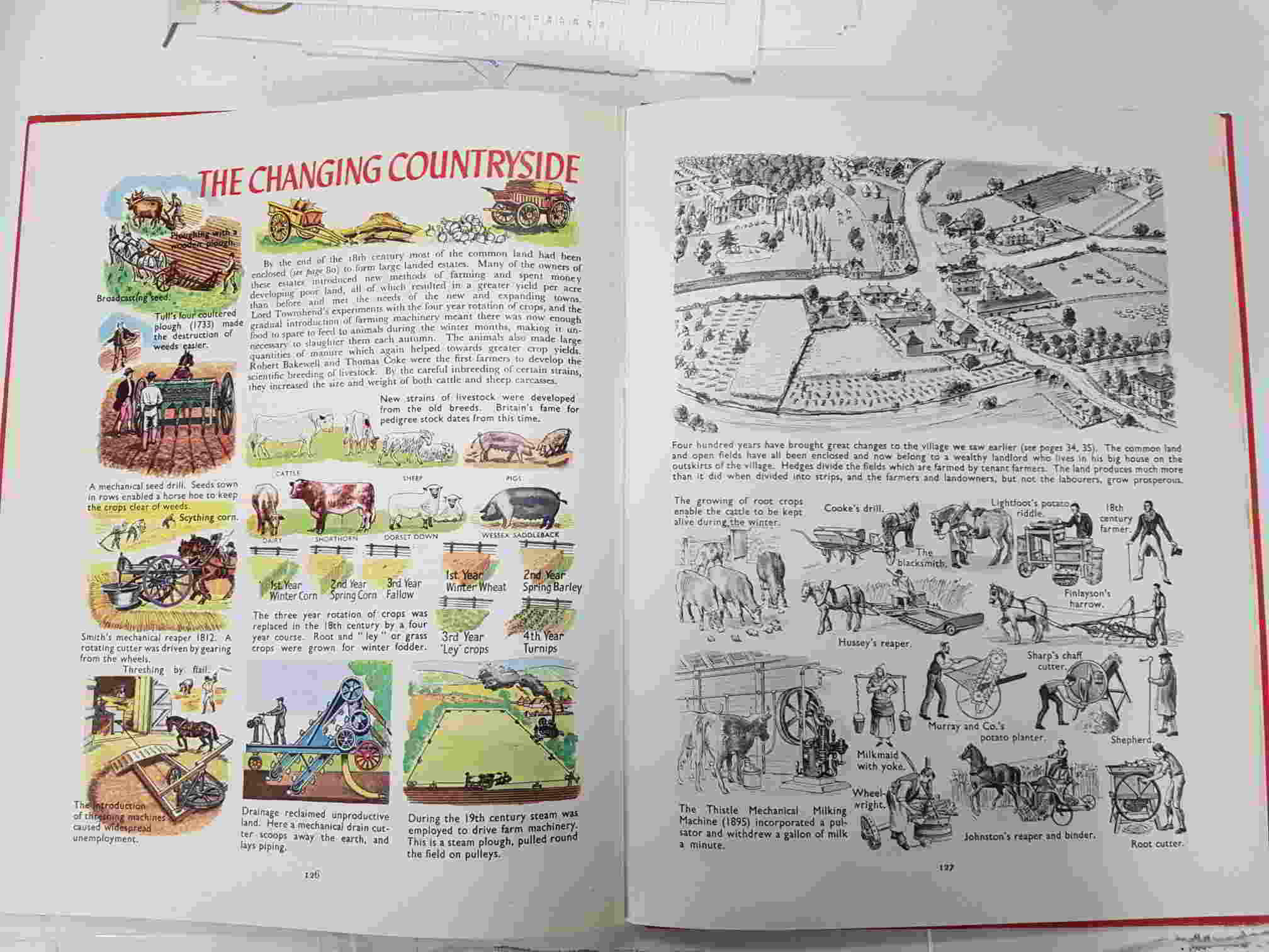 Libro: The Pictorial History Book: The daily life of the Bristih peoples, throuhout the centuries