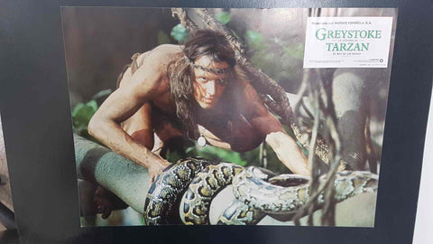 Poster pelicula: Greystoke (poster 09), la Leyenda de Tarzan el rey de los Monos. Warner Bros