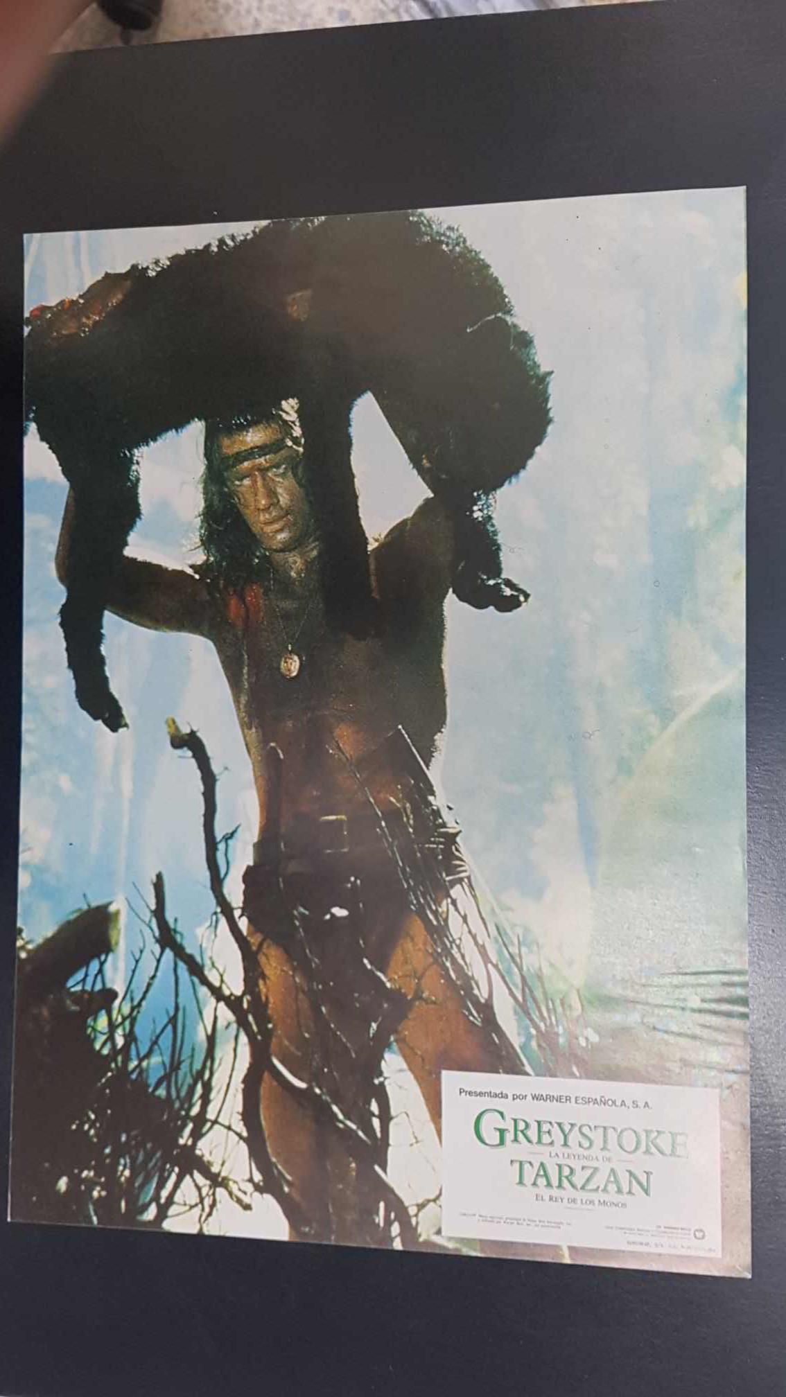 Poster pelicula: Greystoke (poster 11), la Leyenda de Tarzan el rey de los Monos. Warner Bros