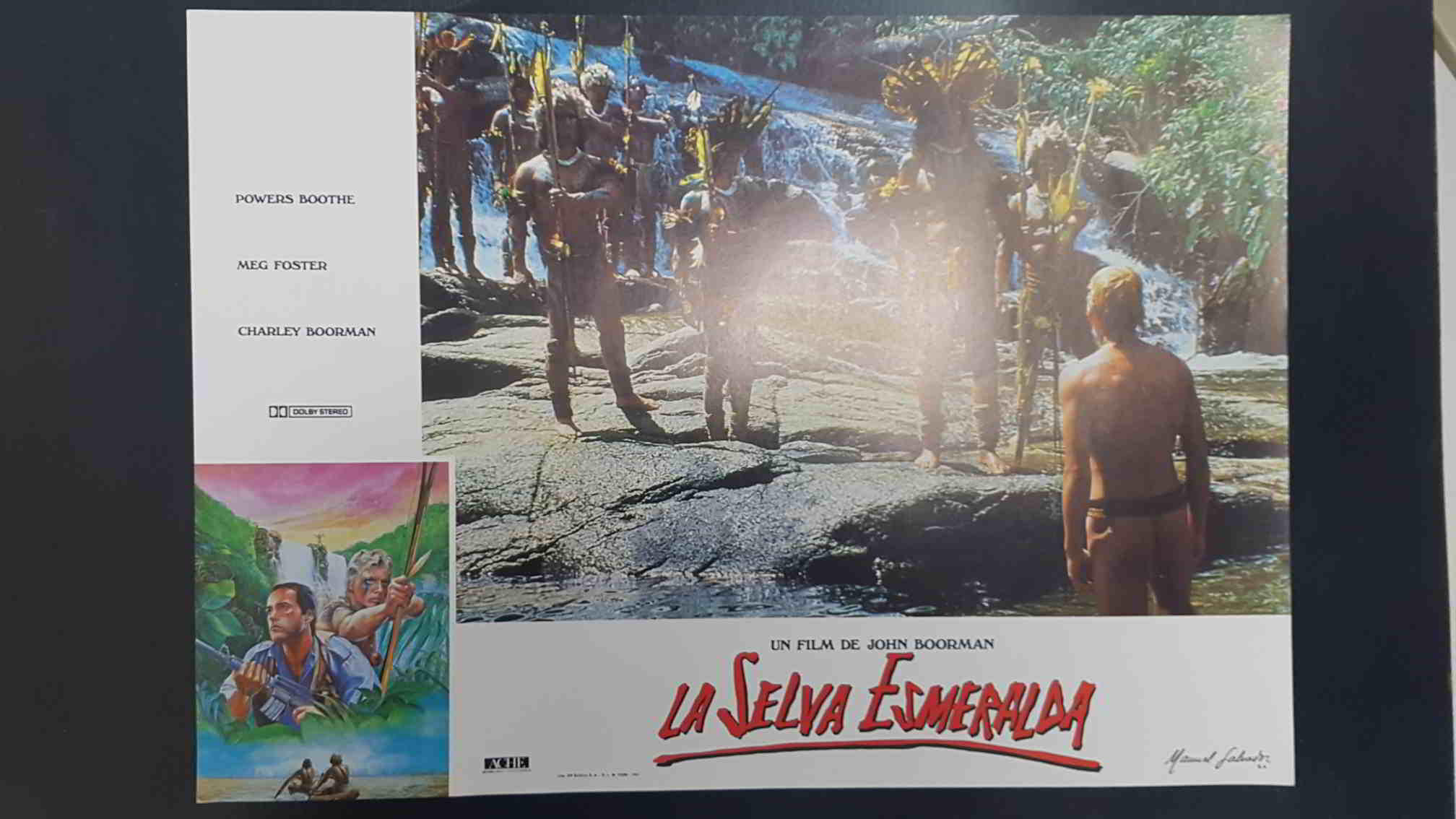 Poster pelicula: La Selva Esmeralda (poster 02), un film de John Boorman con Powers Boothe, Meg Foster, Charley Boorman