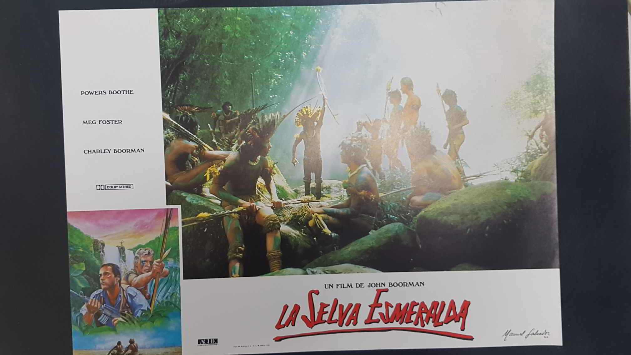 Poster pelicula: La Selva Esmeralda (poster 03), un film de John Boorman con Powers Boothe, Meg Foster, Charley Boorman