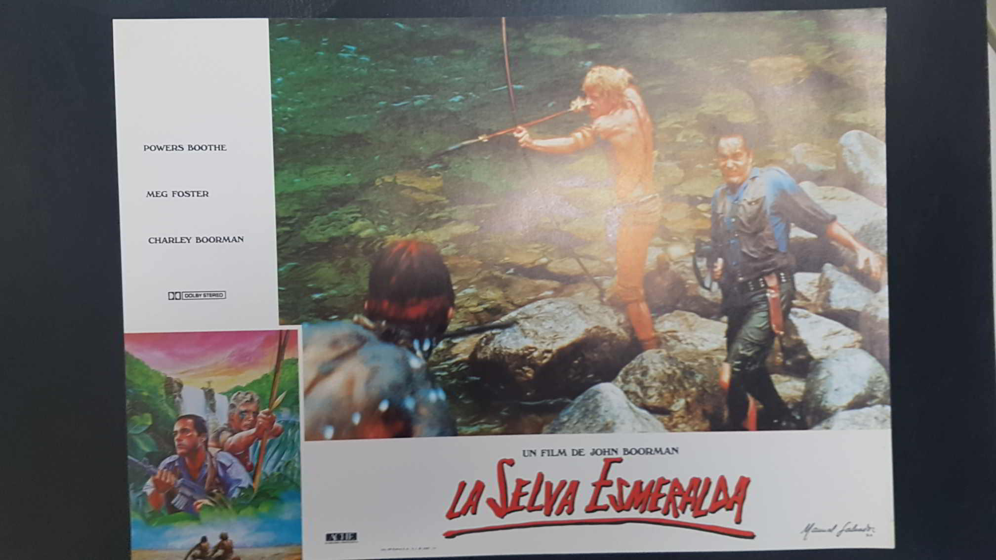 Poster pelicula: La Selva Esmeralda (poster 04), un film de John Boorman con Powers Boothe, Meg Foster, Charley Boorman