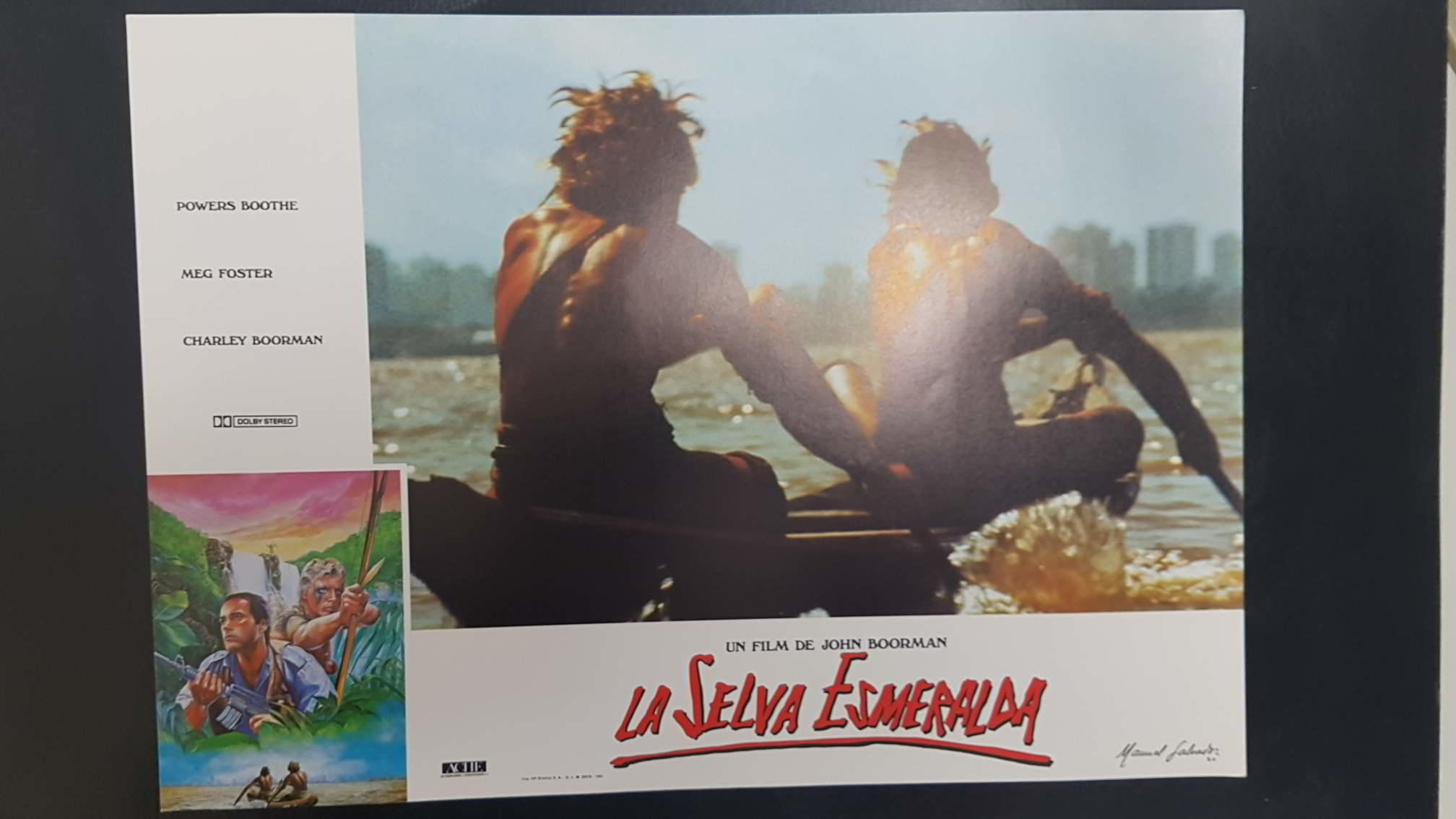 Poster pelicula: La Selva Esmeralda (poster 06), un film de John Boorman con Powers Boothe, Meg Foster, Charley Boorman