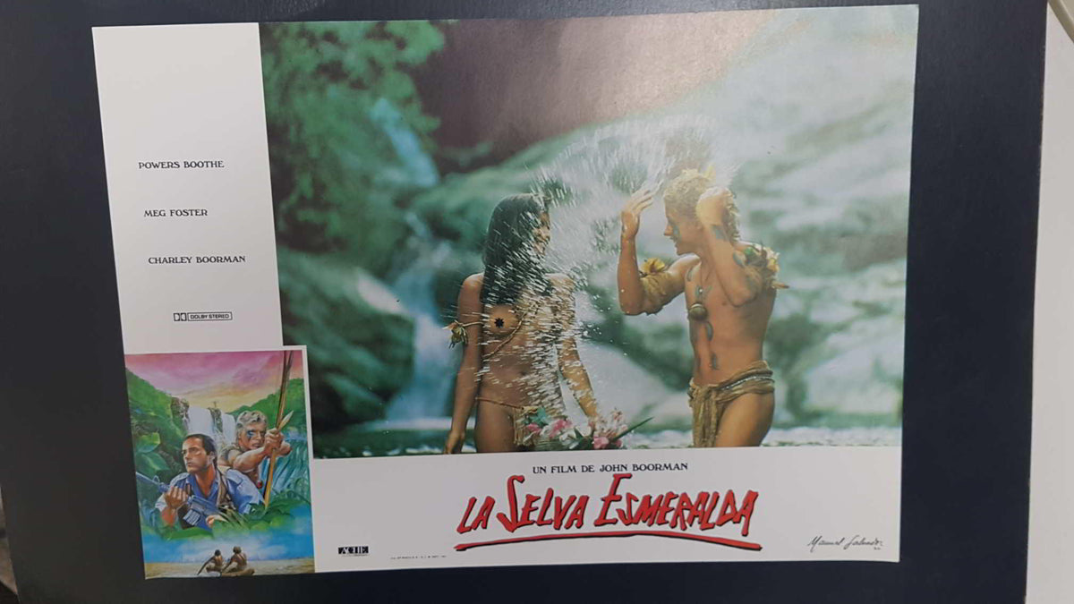Poster pelicula: La Selva Esmeralda (poster 07), un film de John Boorman con Powers Boothe, Meg Foster, Charley Boorman
