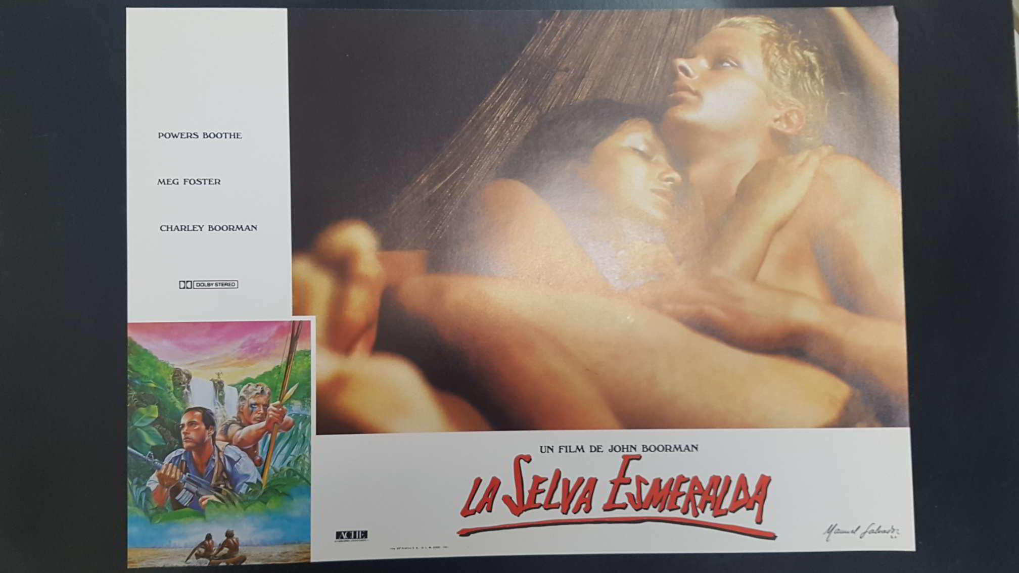 Poster pelicula: La Selva Esmeralda (poster 08), un film de John Boorman con Powers Boothe, Meg Foster, Charley Boorman
