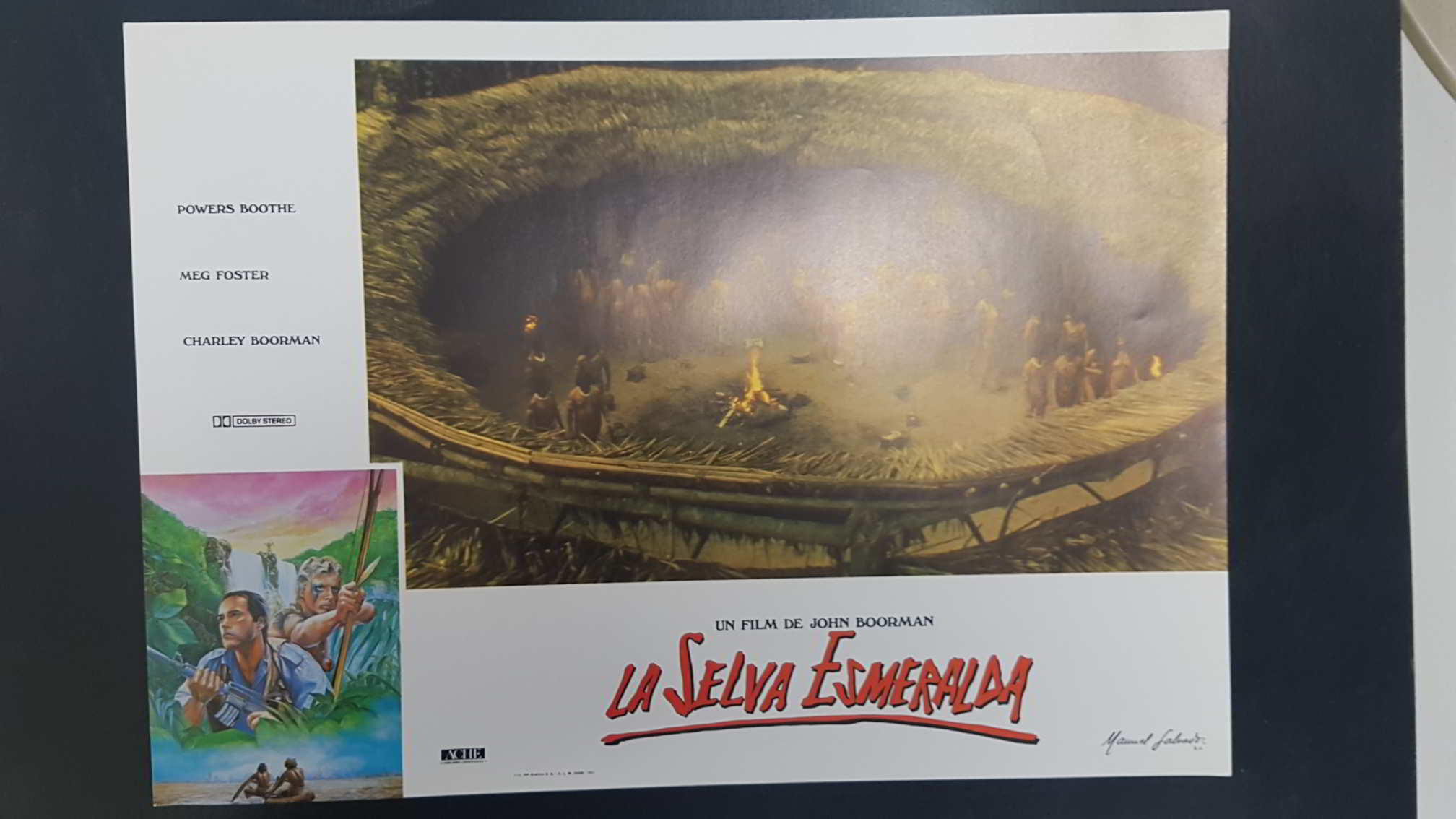 Poster pelicula: La Selva Esmeralda (poster 10), un film de John Boorman con Powers Boothe, Meg Foster, Charley Boorman