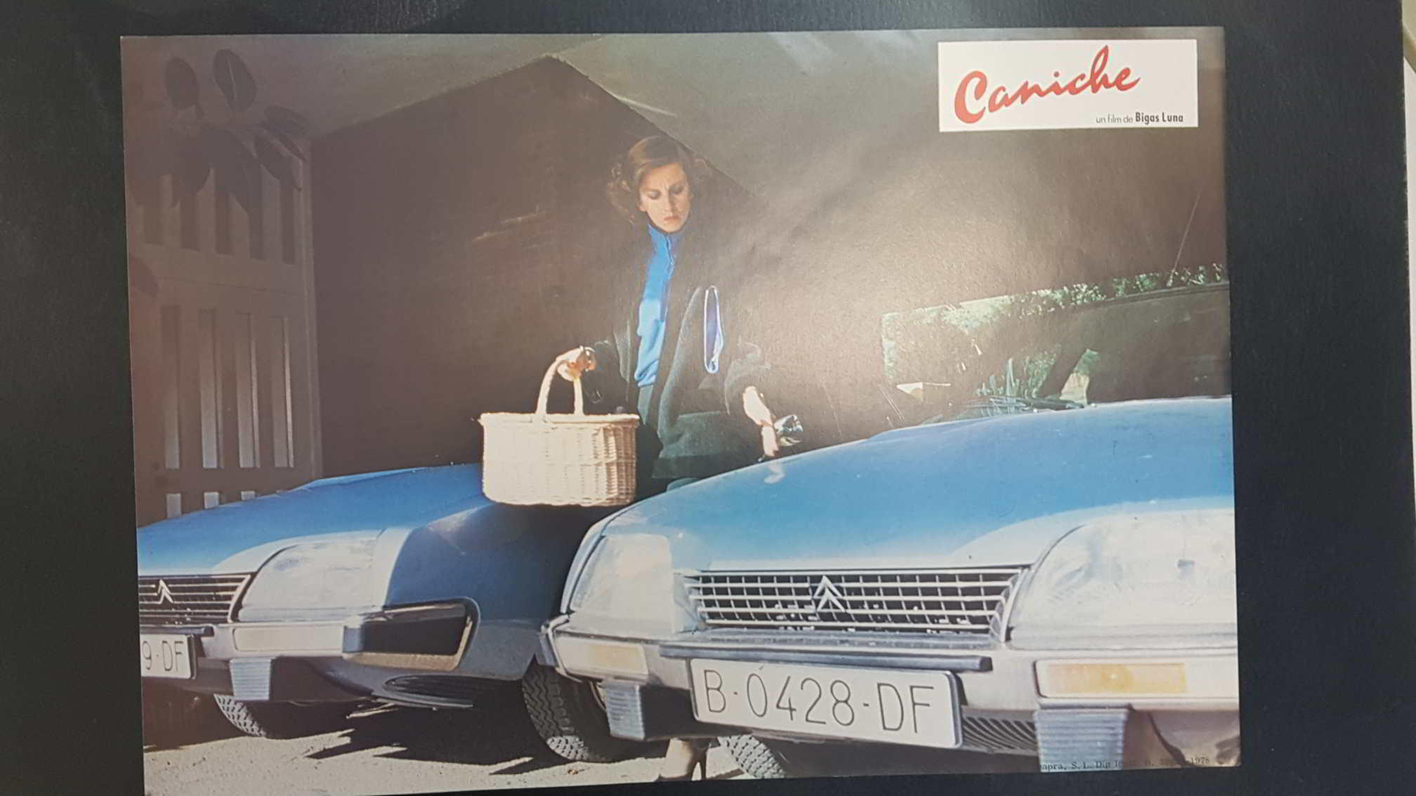 Poster pelicula: Caniche (poster 02), una pelicula de Bigas Luna con Angel Jove, Consol Tura, Linda Perez Gallardo