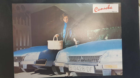 Poster pelicula: Caniche (poster 02), una pelicula de Bigas Luna con Angel Jove, Consol Tura, Linda Perez Gallardo