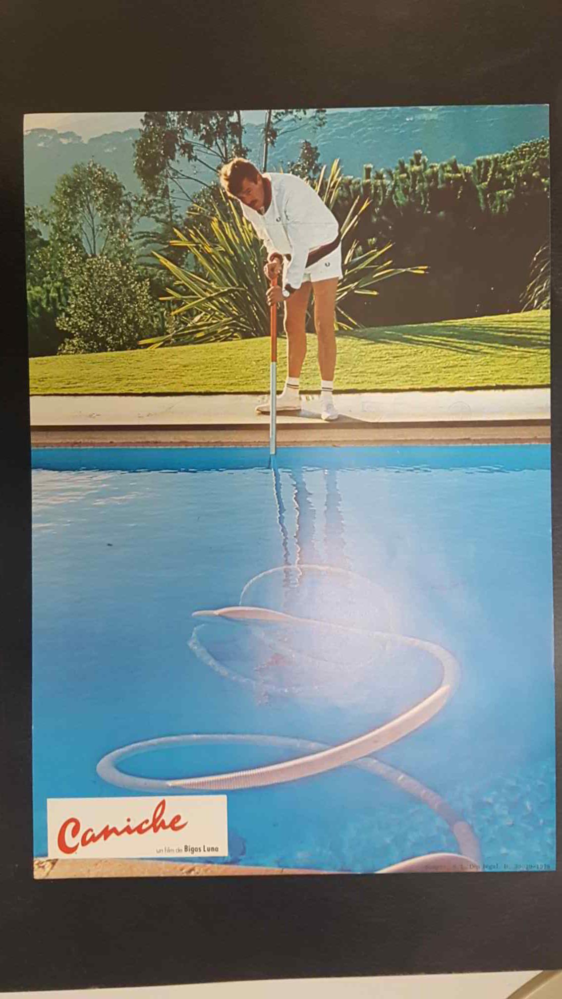 Poster pelicula: Caniche (poster 06), una pelicula de Bigas Luna con Angel Jove, Consol Tura, Linda Perez Gallardo