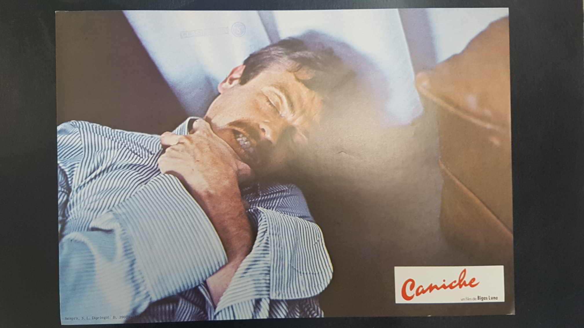 Poster pelicula: Caniche (poster 07), una pelicula de Bigas Luna con Angel Jove, Consol Tura, Linda Perez Gallardo