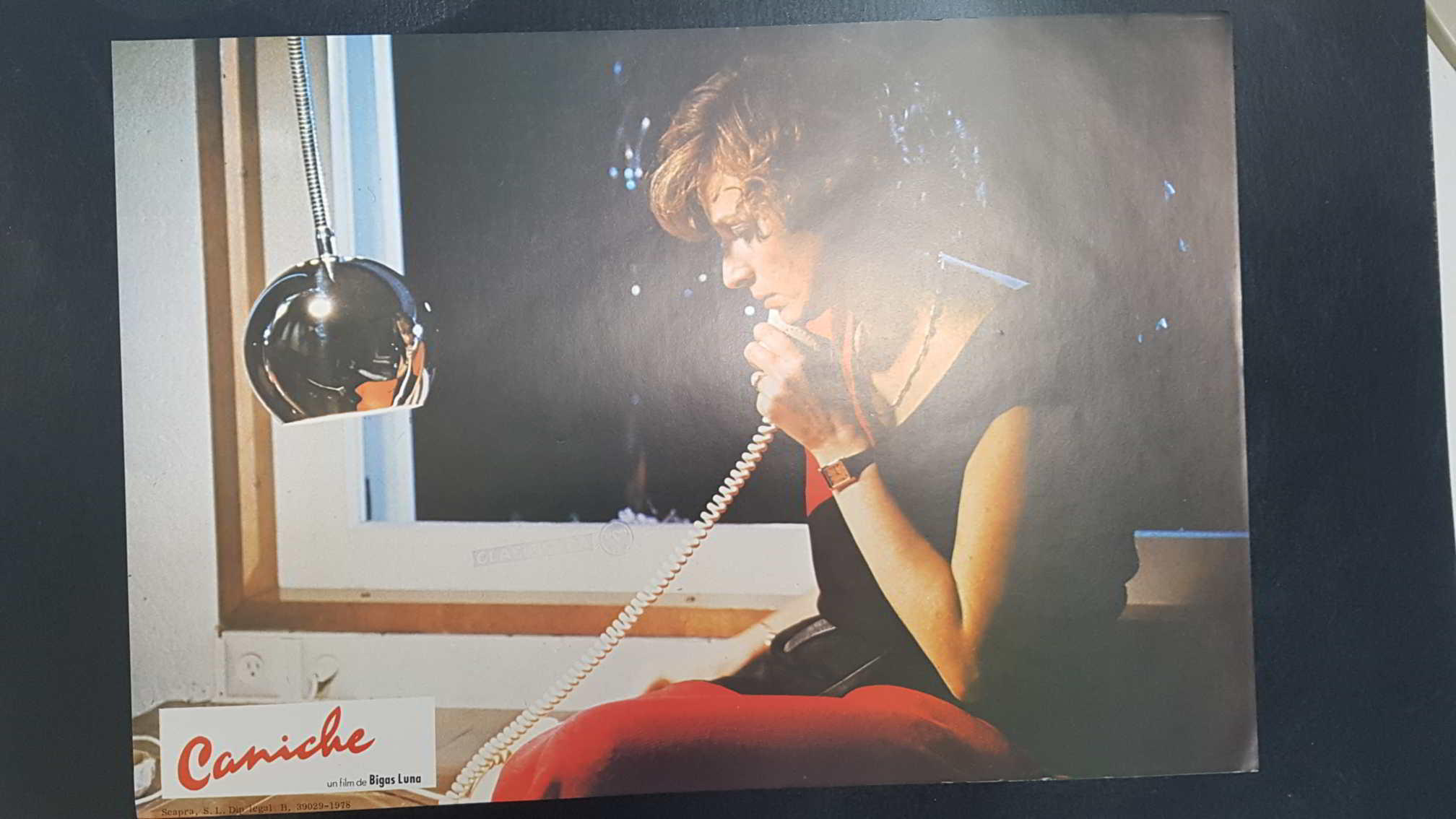 Poster pelicula: Caniche (poster 08), una pelicula de Bigas Luna con Angel Jove, Consol Tura, Linda Perez Gallardo