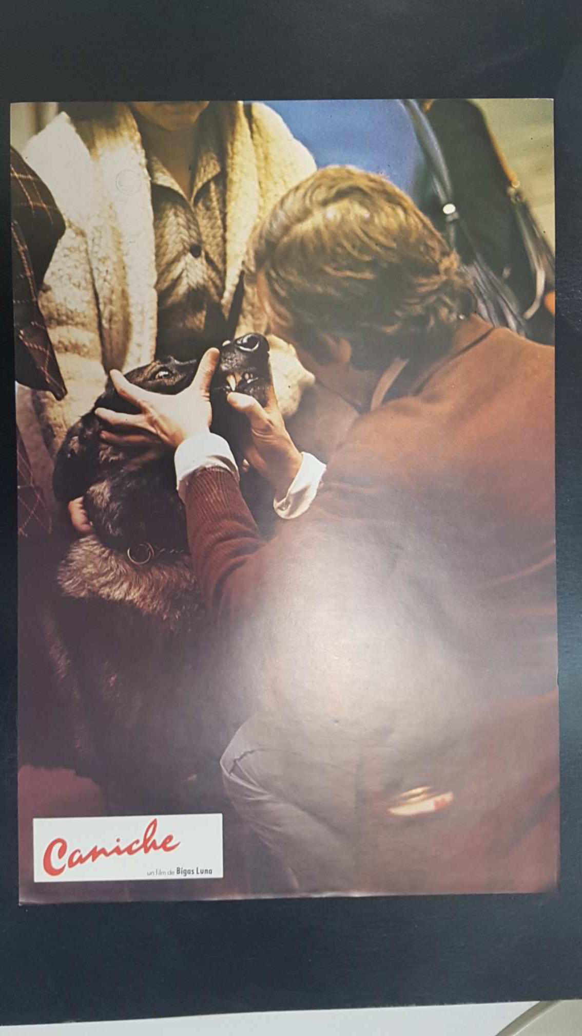 Poster pelicula: Caniche (poster 09), una pelicula de Bigas Luna con Angel Jove, Consol Tura, Linda Perez Gallardo