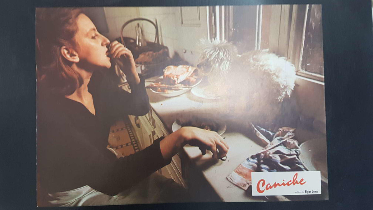 Poster pelicula: Caniche (poster 11), una pelicula de Bigas Luna con Angel Jove, Consol Tura, Linda Perez Gallardo