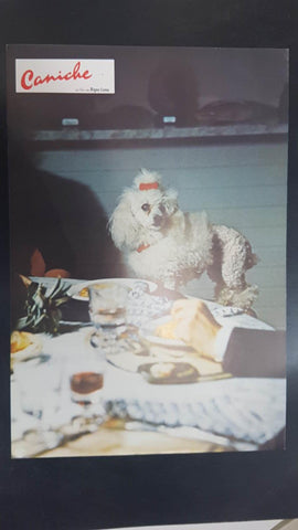 Poster pelicula: Caniche (poster 14), una pelicula de Bigas Luna con Angel Jove, Consol Tura, Linda Perez Gallardo