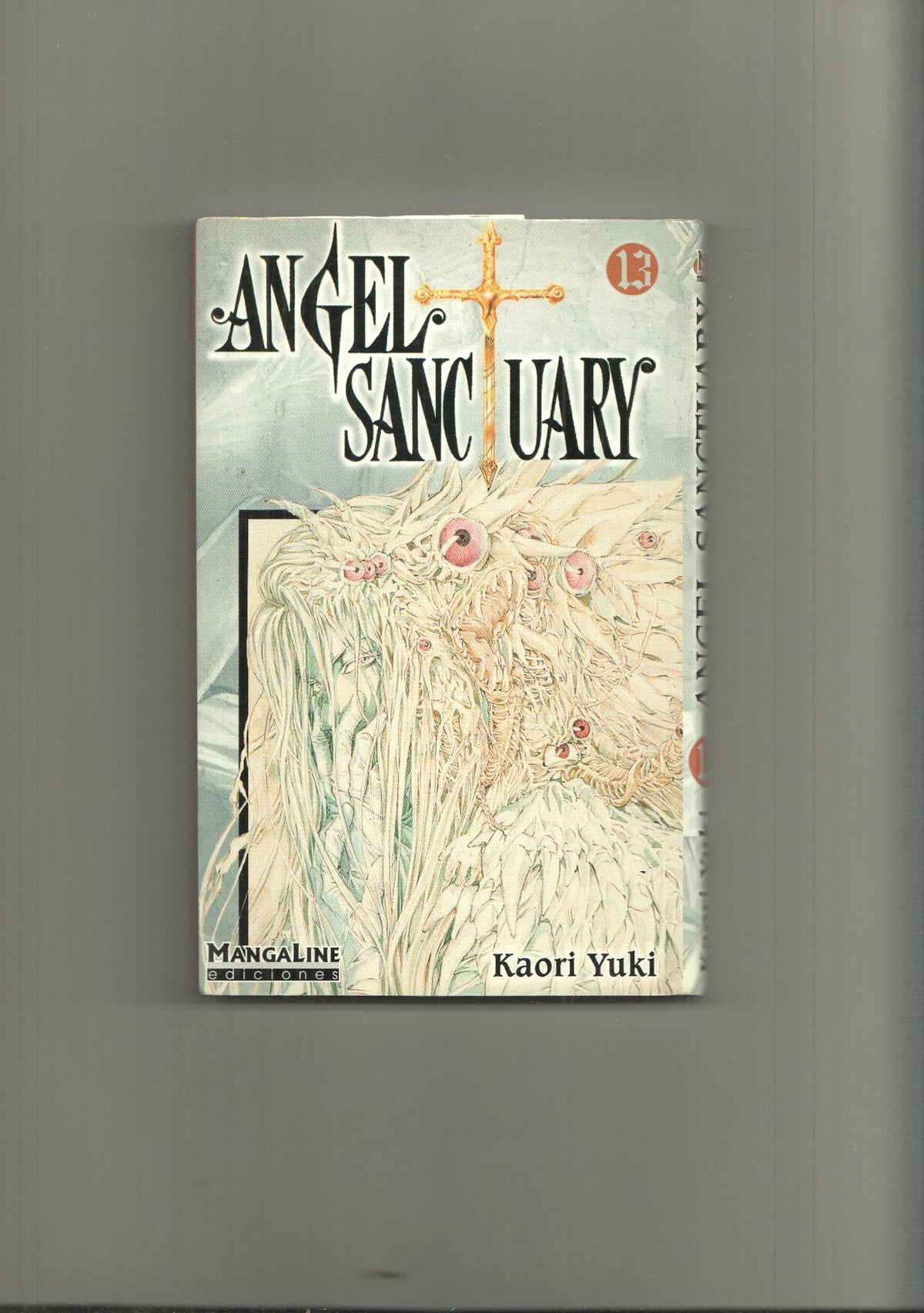 Angel Sanctuary numero 13