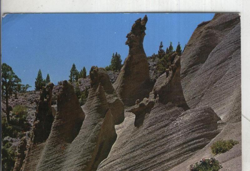 Postal 4442 : Tenerife: Fantasia natural