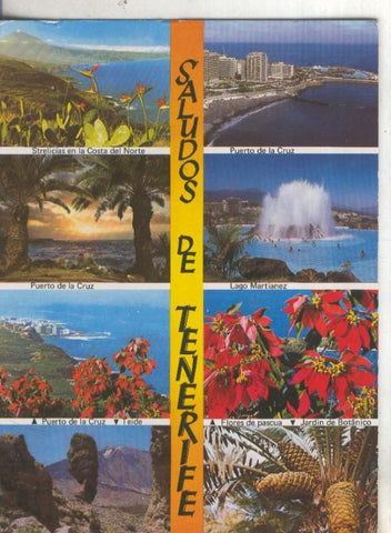 Postal 4713 : Saludos de Tenerife
