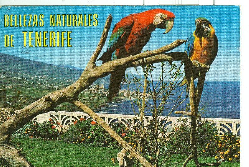 Postal 6202 : Bellezas naturales de Tenerife