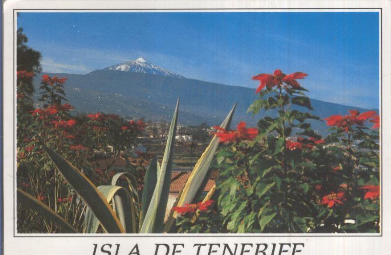 Postal 005329 : Valle de la Orotova (Tenerife)