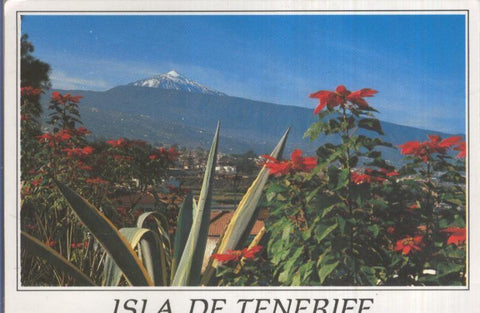 Postal 005329 : Valle de la Orotova (Tenerife)