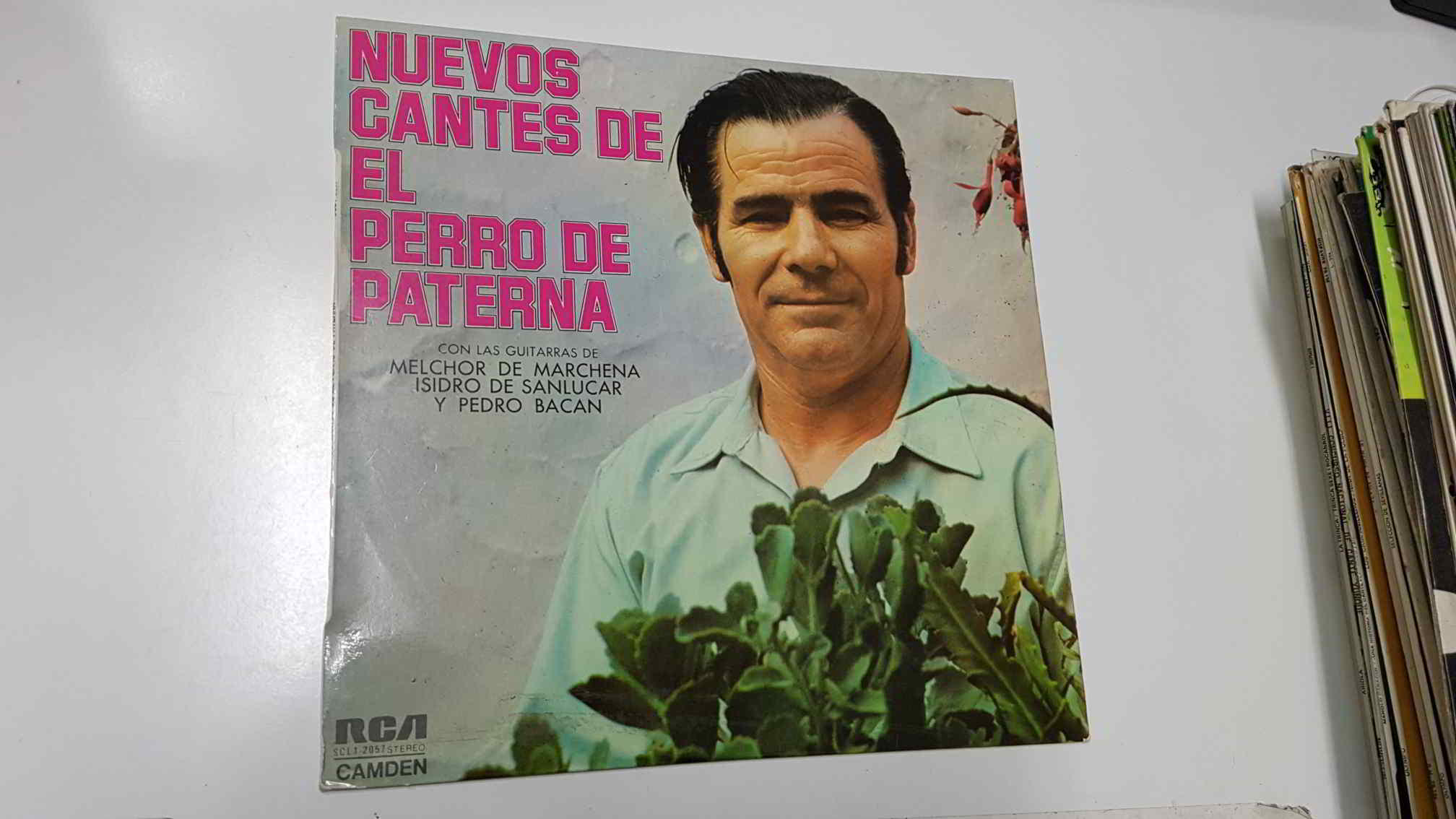 LP: Nuevos Cantes de El perro de Paterna con las guitarras de Melchor Marchena, Isidro de Sanlucar y Pedro Bacan