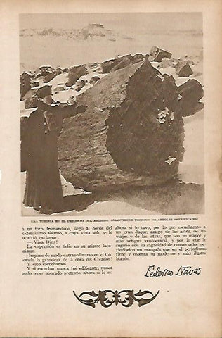 LAMINA BLANCO Y NEGRO 7782: Turista en el desierto de Arizona