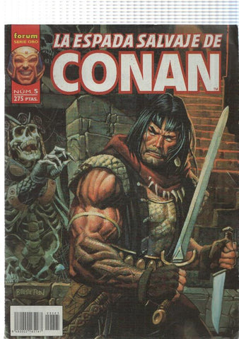 Comic, Forum: num 05, vol II de La Espada Salvaje de Conan - El idolo caido (The Fallen Idol)