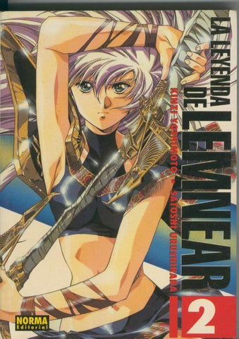 Manga gran volumen numero 14: Leyenda de Lemnear numero 2