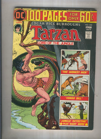 TARZAN LORD OF THE JUNGLE DC Numero 232: SPECIAL 100 PAGES