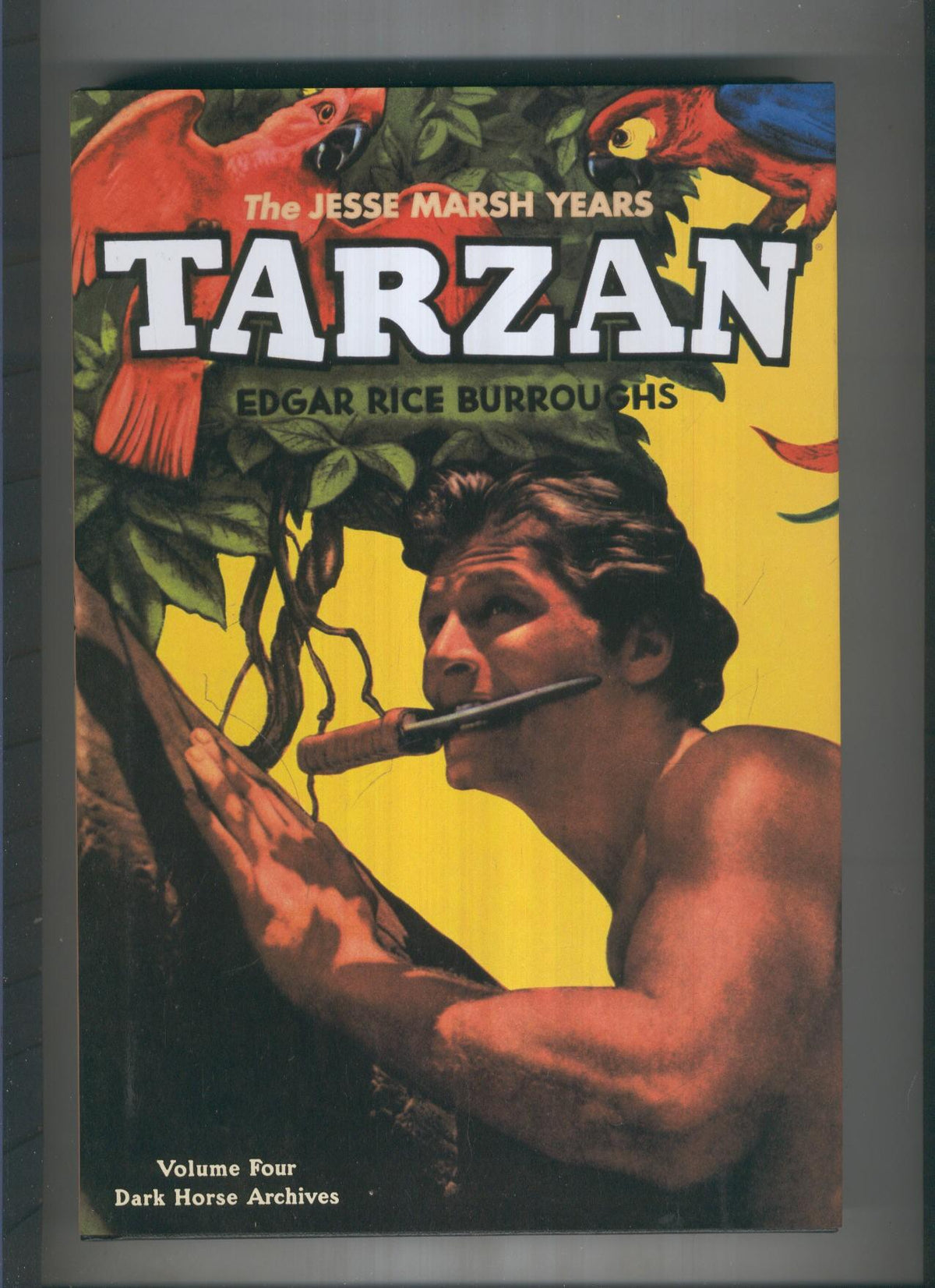 TARZAN: The Jesse Marsh Years Tomo 04