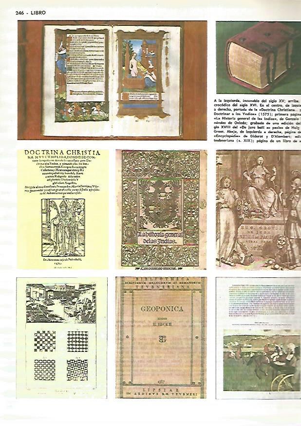 LAMINA MONITOR 0322: EJEMPLOS DE LIBRO