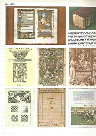 LAMINA MONITOR 0322: EJEMPLOS DE LIBRO