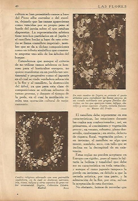 LAMINA 5492: Cuadro de Zegers 