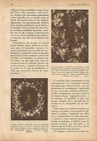 LAMINA 5492: Cuadro de Zegers 