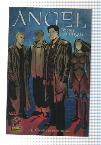 Made in Hell 47. Comic Angel: Viejos amigos (julio 2007). Jeff Mariotte - David Mesina
