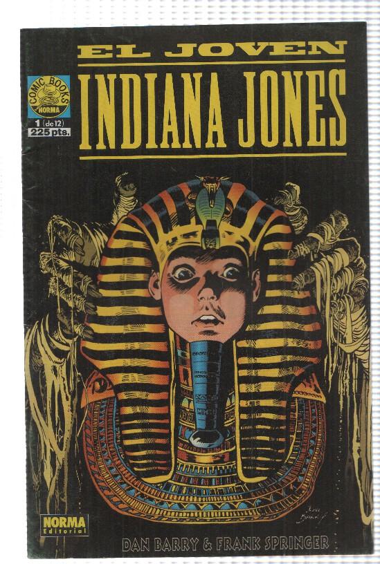 Comic Books: El Joven Indiana Jones num 1 de 12. Dan Barry y Frank Springer
